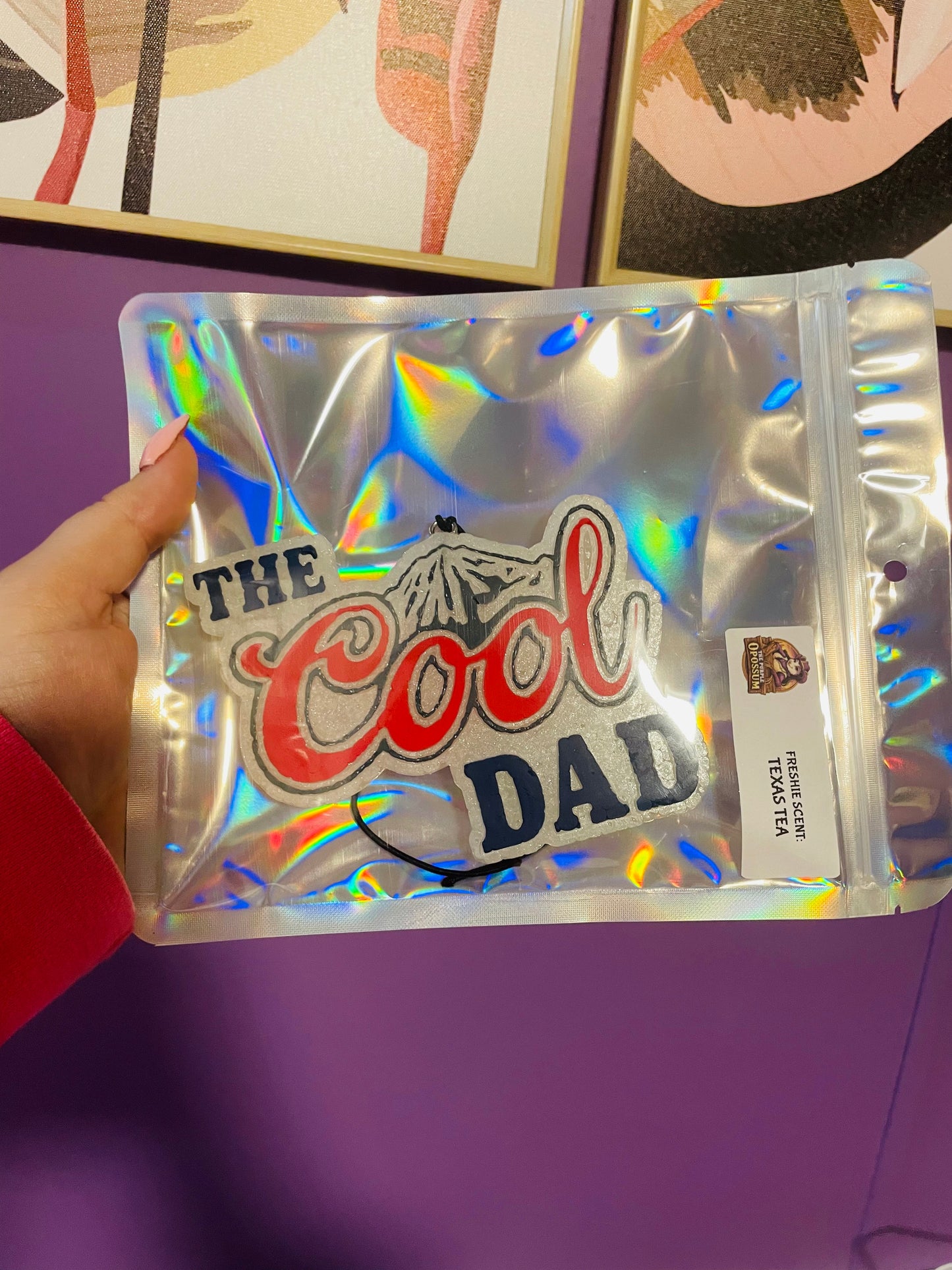 The Cool Dad